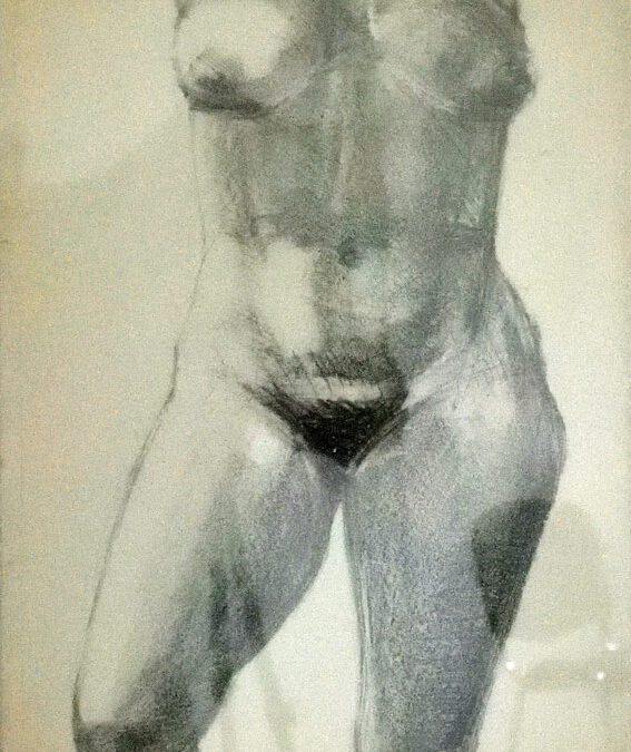 Torso