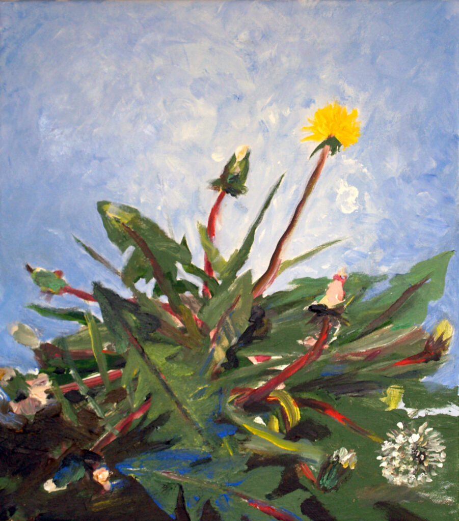 Mælkebøtter - Finn Have
